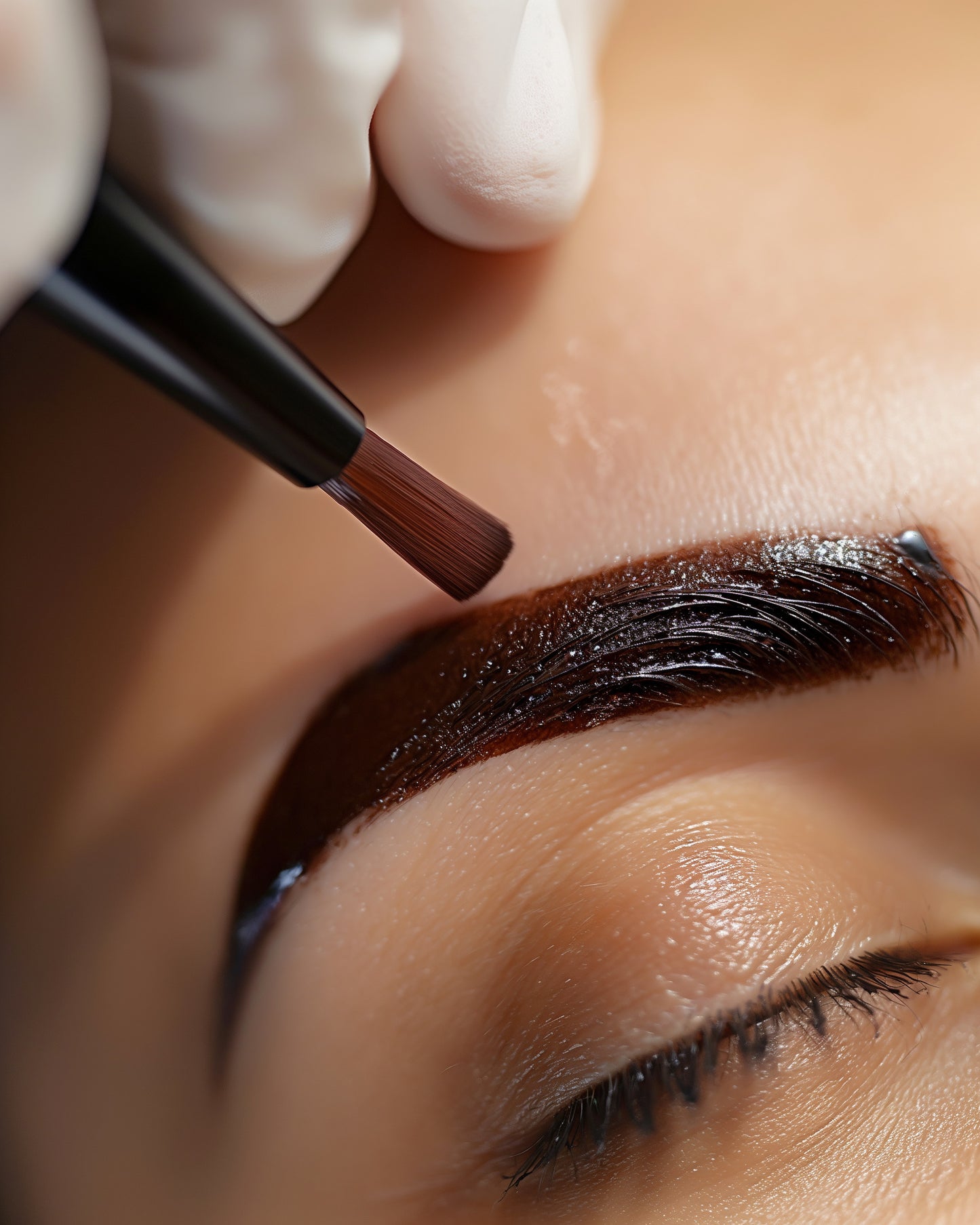 Lash + Brow Tint