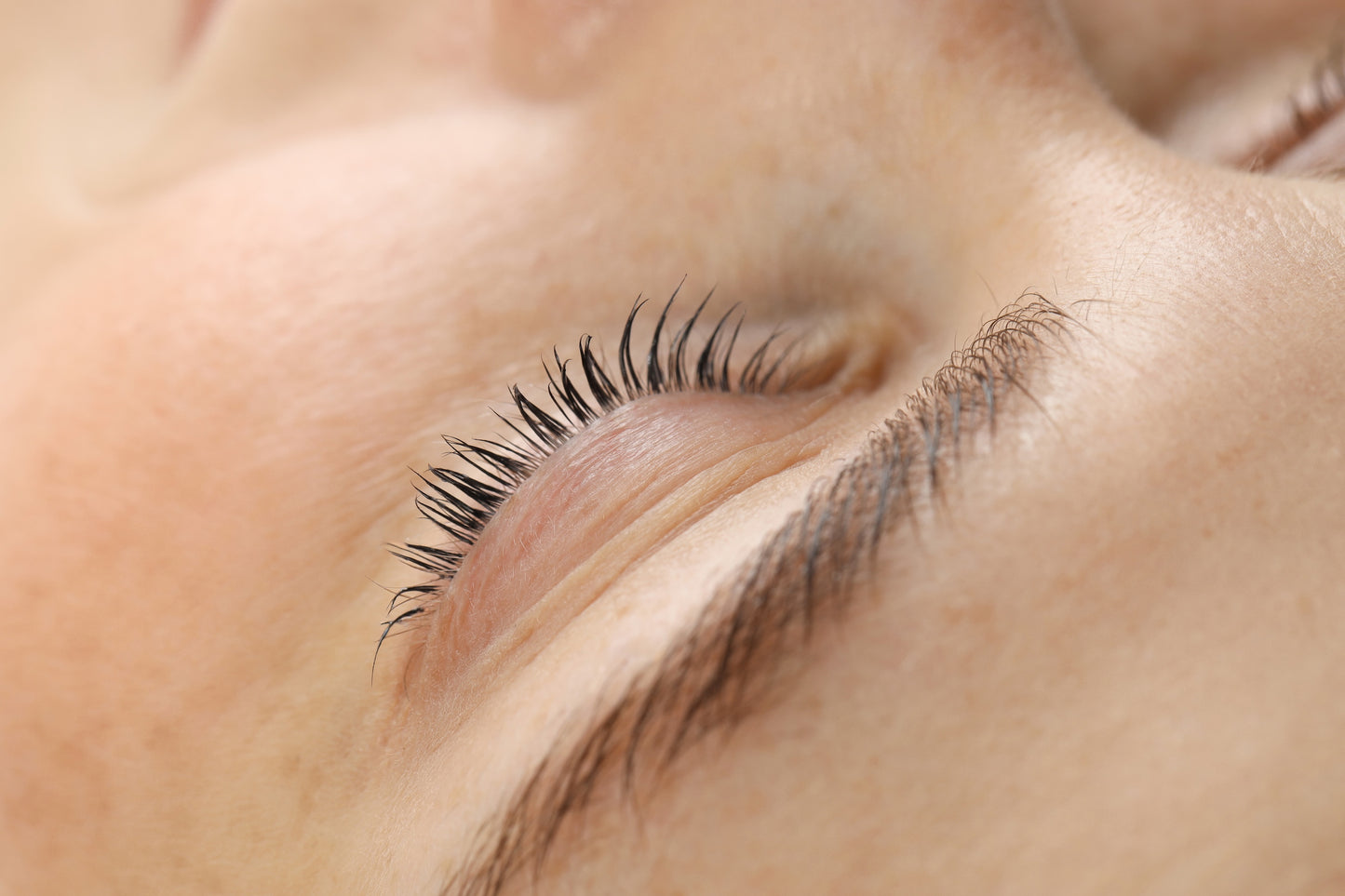 Lash Tint